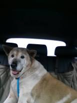 Freedom ride for Betsy
